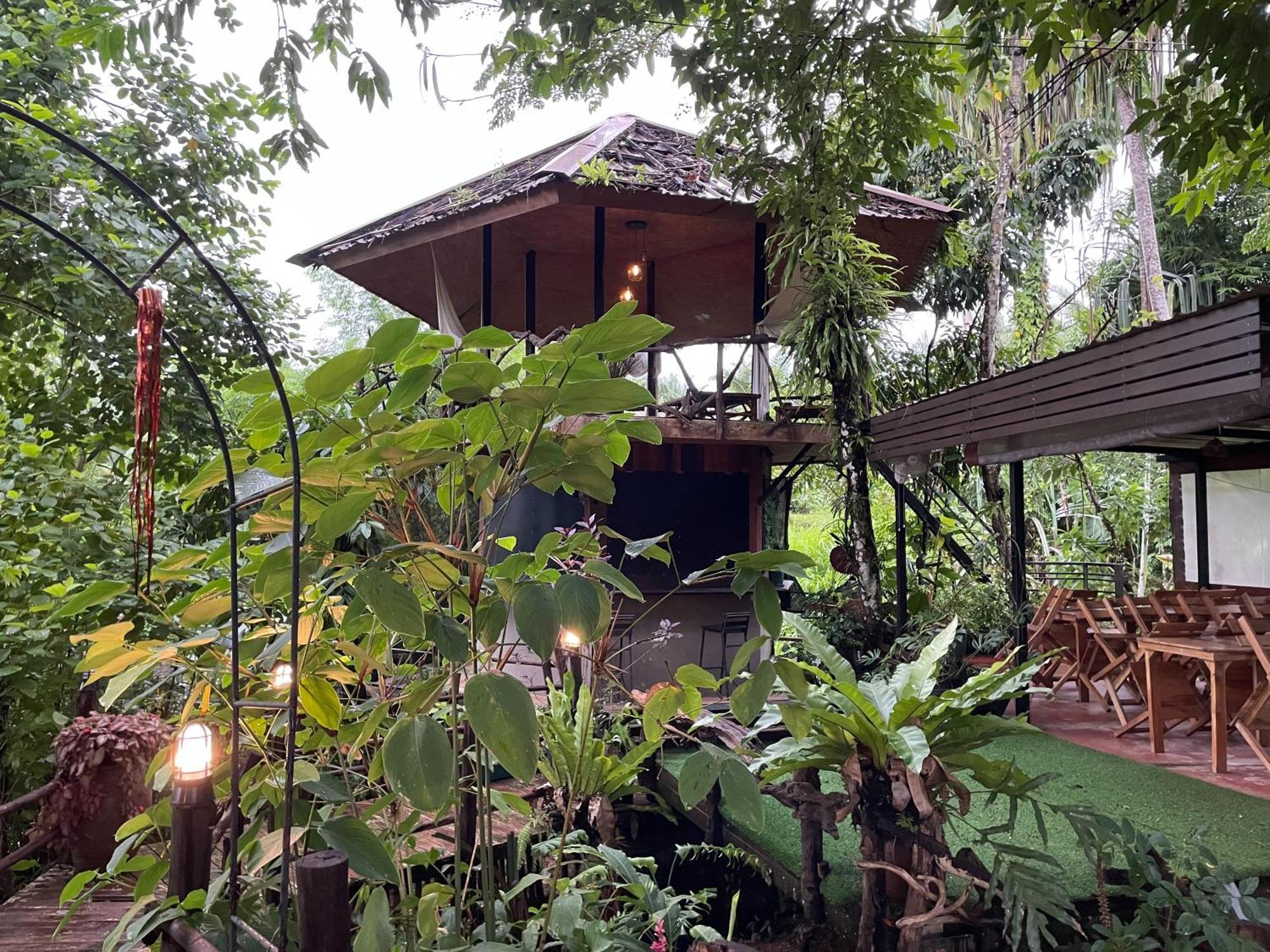Khaosok Farmstay Khao Sok National Park Экстерьер фото