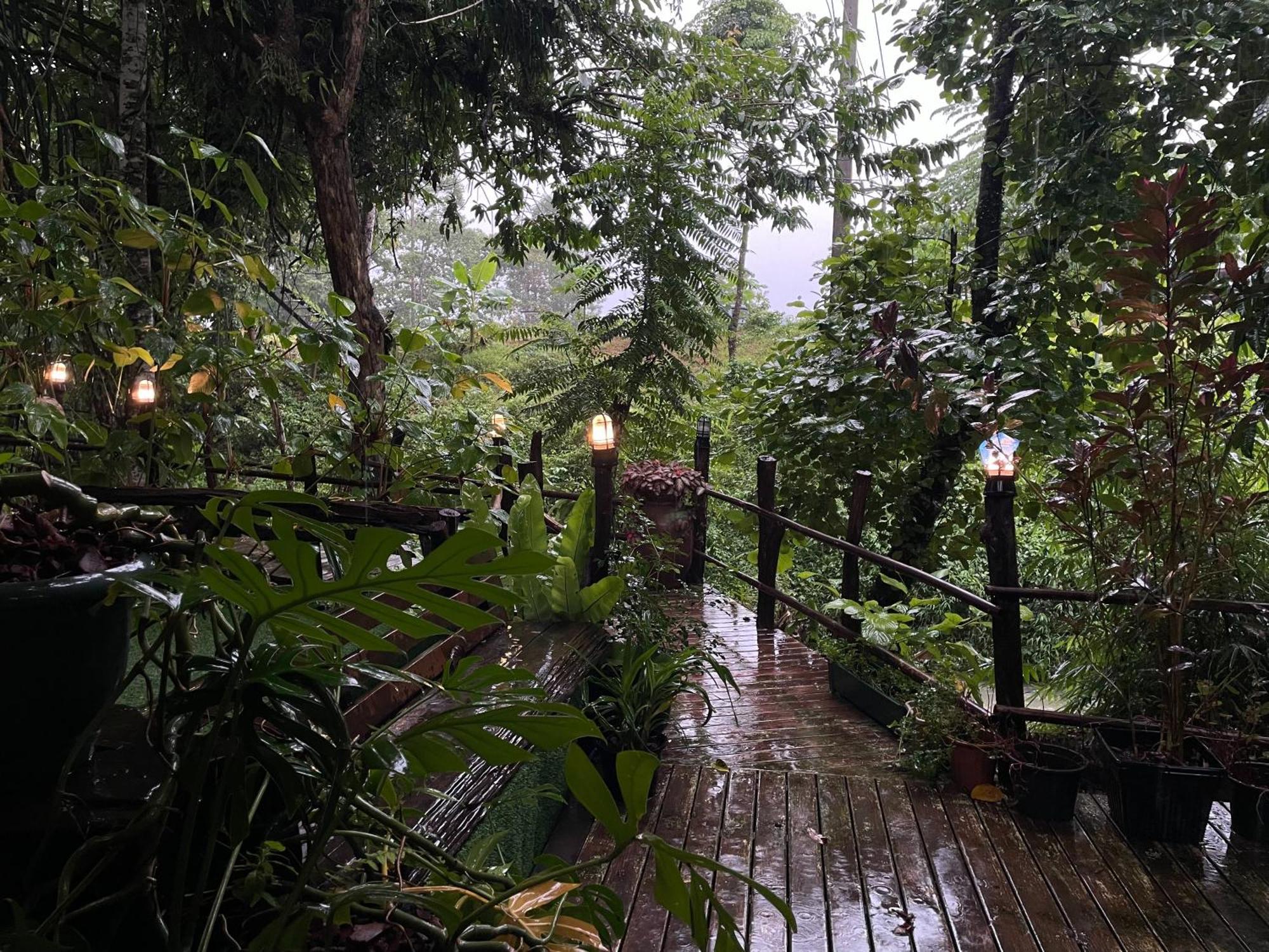 Khaosok Farmstay Khao Sok National Park Экстерьер фото